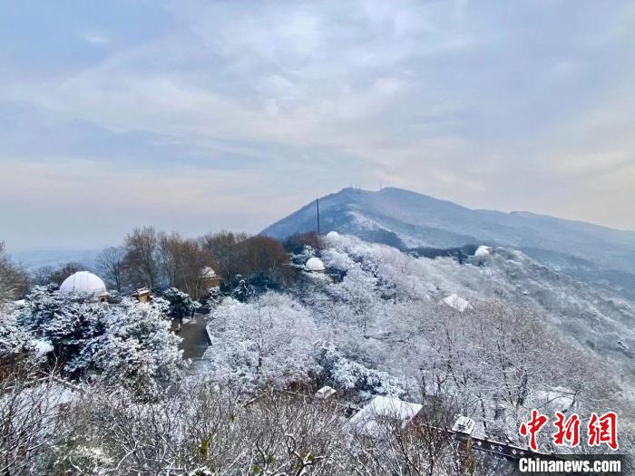 14日，俯瞰南京紫金山雪景。　陳向陽 攝