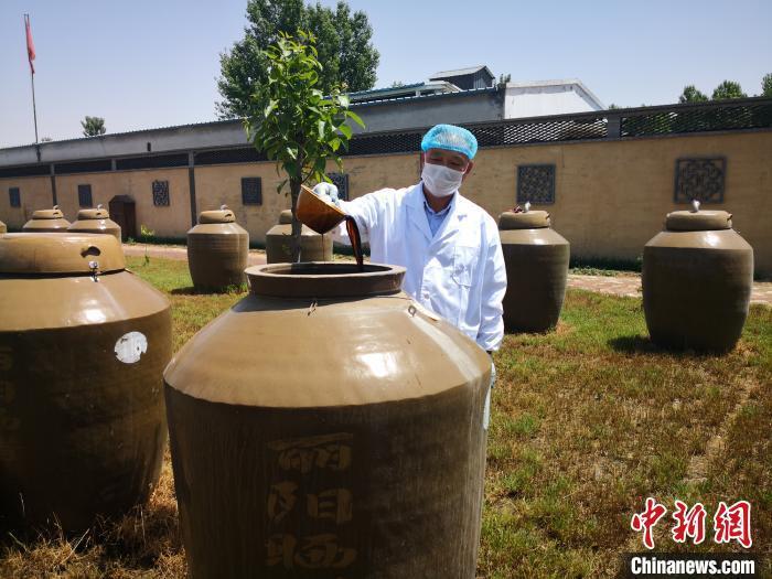 圖為釀醋手藝人在查看醋壇中的曬醋。 李洋 攝