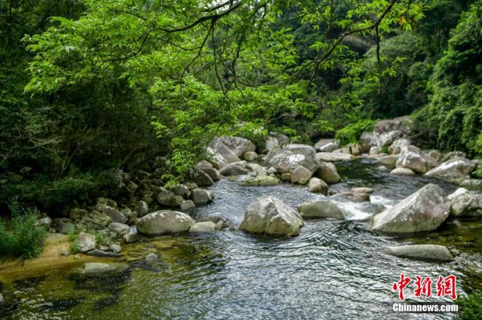 圖為海南熱帶雨林國家公園體制試點區(qū)吊羅山片區(qū)南喜峽谷內(nèi)的河流。