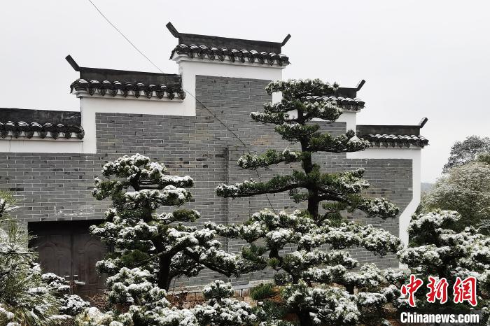 圖為：寧波奉化溪口鎮(zhèn)三十六灣村雪景在粉墻黛瓦襯托下呈現(xiàn)獨(dú)特江南景致?！≡ǔ?通訊員) 攝