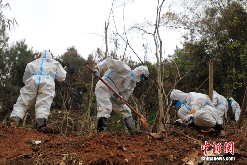 東航墜機救援現(xiàn)場：武警官兵分批次、分區(qū)域搜索