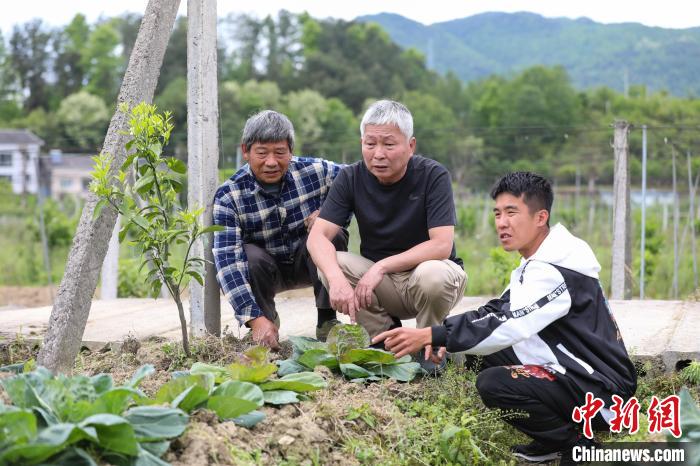 圖為何惠廸與工作人員查看果樹和蔬菜的長(zhǎng)勢(shì)?！■暮陚?攝