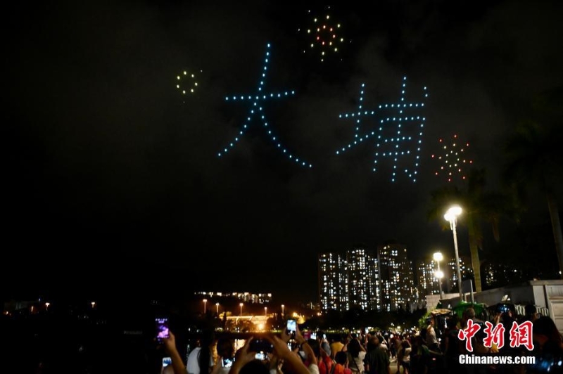 香港大埔海、陸、空匯演慶回歸