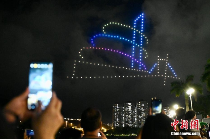 香港大埔海、陸、空匯演慶回歸