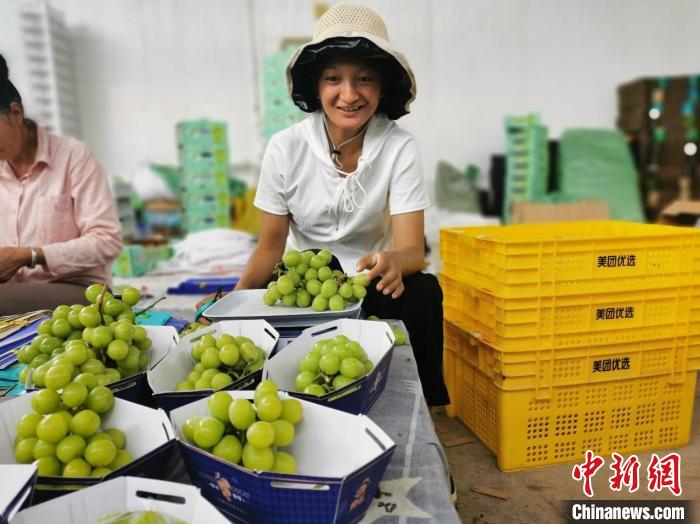 圖為大理漾濞彝族自治縣“00后”姑娘楊字梅，通過葡萄線上售賣產(chǎn)業(yè)鏈增收?！∈┌?攝