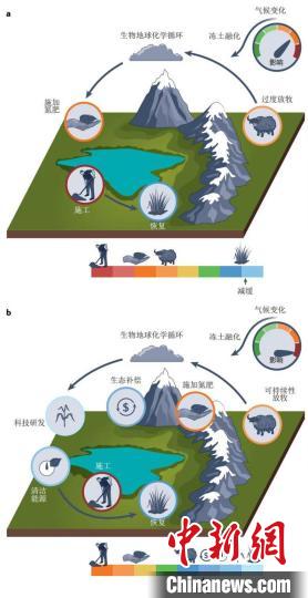 積極的恢復和碳減排措施有助于實現(xiàn)可持續(xù)發(fā)展的碳匯功能?！≈锌圃撼啥忌镅芯克﹫D