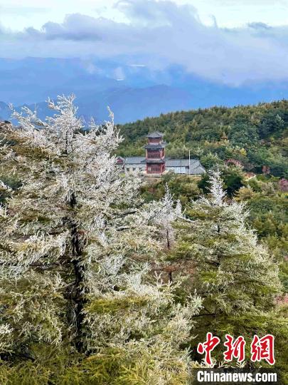 10月4日，泰山之巔現(xiàn)霧凇奇觀，冰雕玉砌、晶瑩閃爍的霧凇綴滿枝頭，一樹樹、一叢叢，甚是好看?！±捉?攝