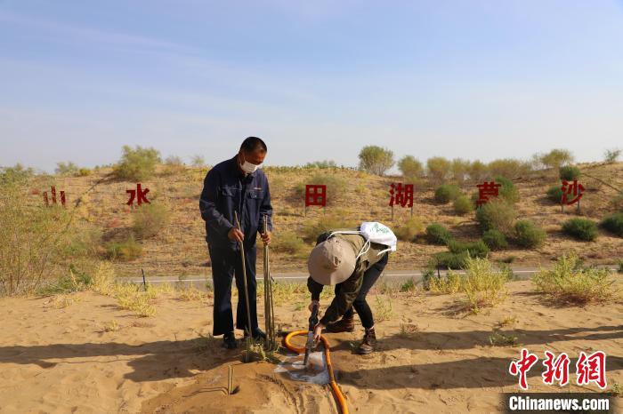 （人民幸福生活）幾代人接力植樹造林中國第七大沙漠庫布其刮起“綠旋風”