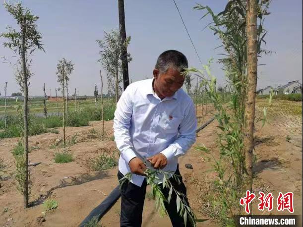 （人民幸福生活）住進(jìn)別墅里的種樹治沙人