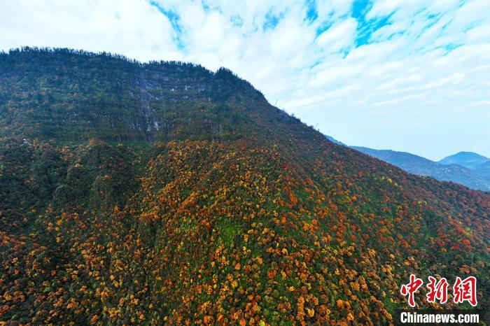 色彩斑斕的瓦屋山?！⒅铱?攝