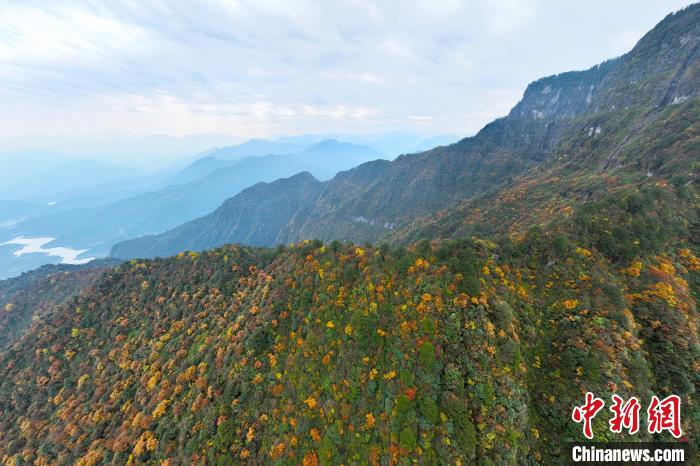 美不勝收的瓦屋山秋景?！⒅铱?攝