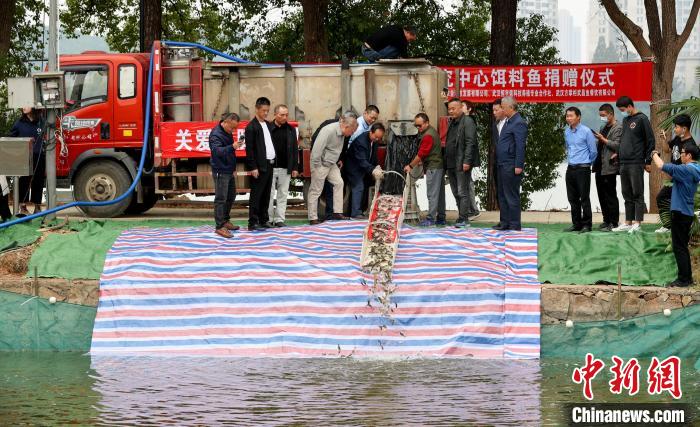 武漢愛心企業(yè)捐贈餌料魚助力長江江豚保育