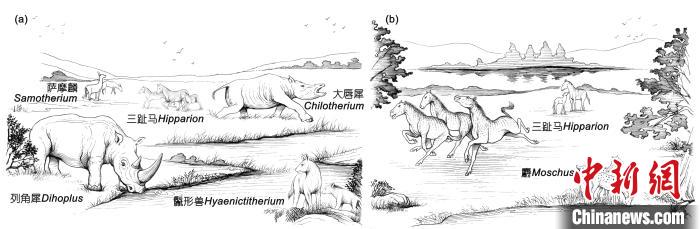 晚中新世華北地區(qū)三趾馬動物群生態(tài)復(fù)原：(a) 華北西部； (b) 華北東部?！≈锌圃汗偶棺邓?供圖