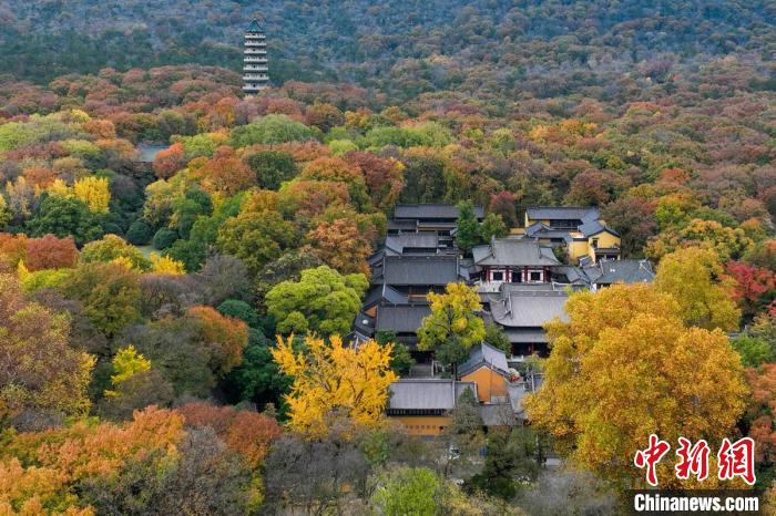 鐘山風景區(qū)靈谷寺掩映在樹木中?！°蟛?攝