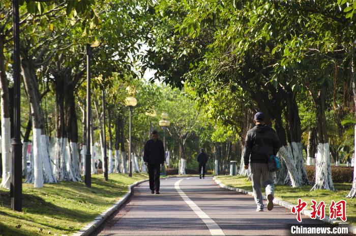 圖為市民、游客在海灣綠道散步?！〉岳顝?攝