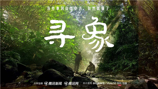 去雨林深處，聽大象長吟，自然紀(jì)錄片《尋象》正式上線！