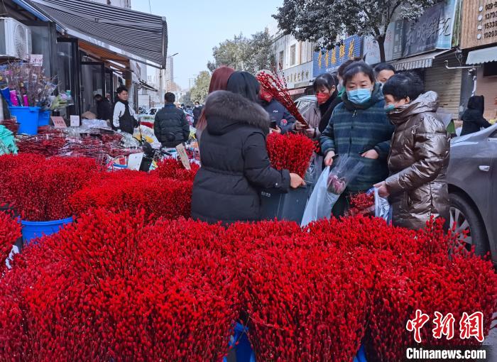 圖為春節(jié)期間的花市幾乎成為“紅色汪洋”?！钣㈢?攝