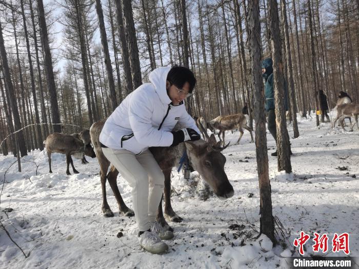 圖為與馴鹿合影的臺灣青年們?！±類燮?攝