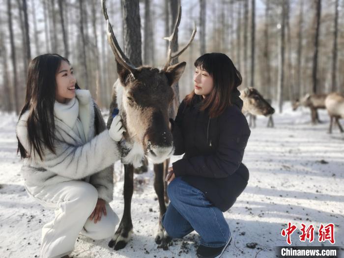 圖為與馴鹿合影的臺灣青年們?！±類燮?攝