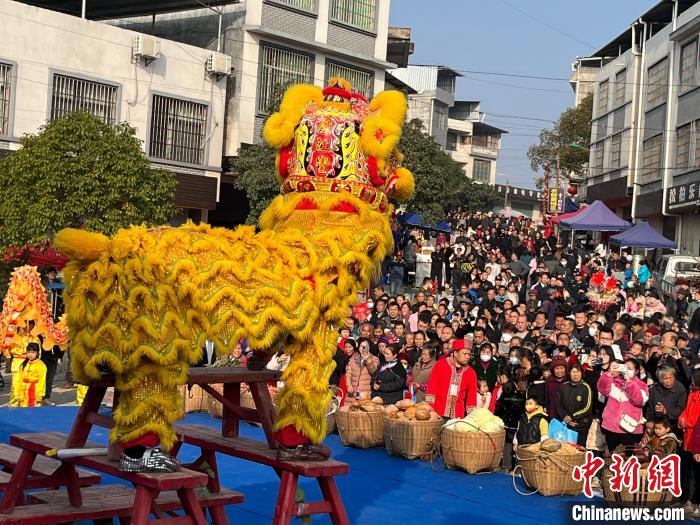 湘粵桂數(shù)萬瑤胞“趕鳥”話豐收?！〗揽h委宣傳部供圖