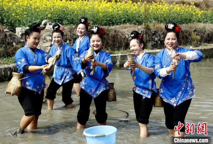 施秉縣馬號(hào)鎮(zhèn)六合苗寨的苗族同胞展示捉到的魚?！》盍?攝