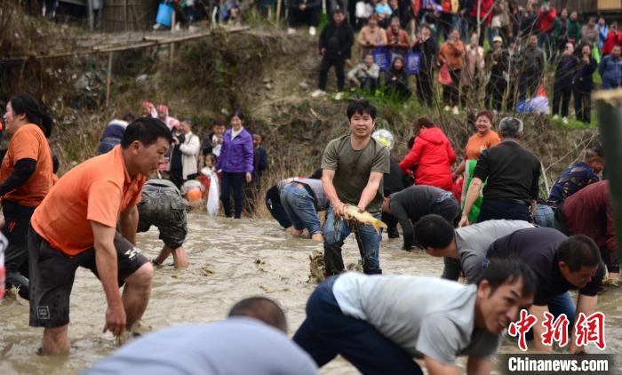 3月6日，廣西桂林市龍勝各族自治縣三門鎮(zhèn)同烈村，瑤族民眾在參加“渾水摸魚”?！∨酥鞠?攝