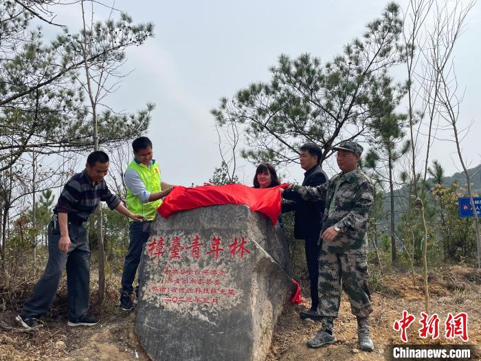 弘揚(yáng)張圣君文化兩岸青年共植樟臺(tái)青年林