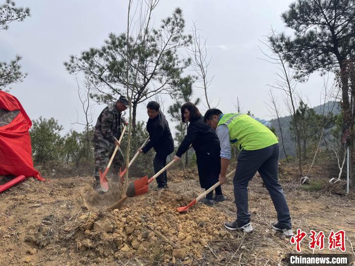 “樟臺(tái)青年林”植樹活動(dòng)現(xiàn)場(chǎng)?！∮捞┛h委臺(tái)港澳辦 供圖