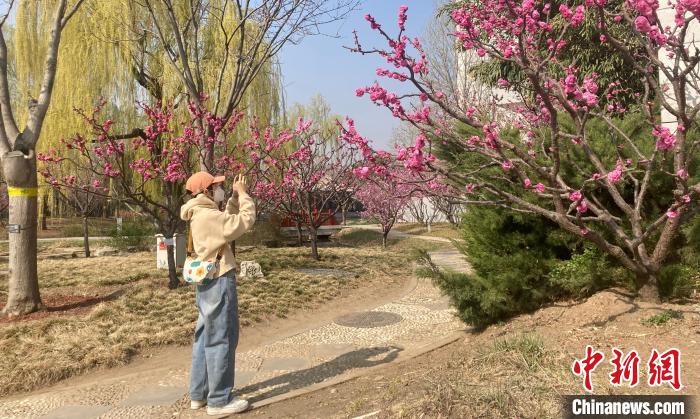 圖為中國園林博物館。　徐婧 攝