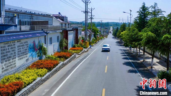 資料圖：圖為臨沂市蘭山區(qū)半程鎮(zhèn)美麗的戶戶通道路。(無人機照片) 孫磊 攝