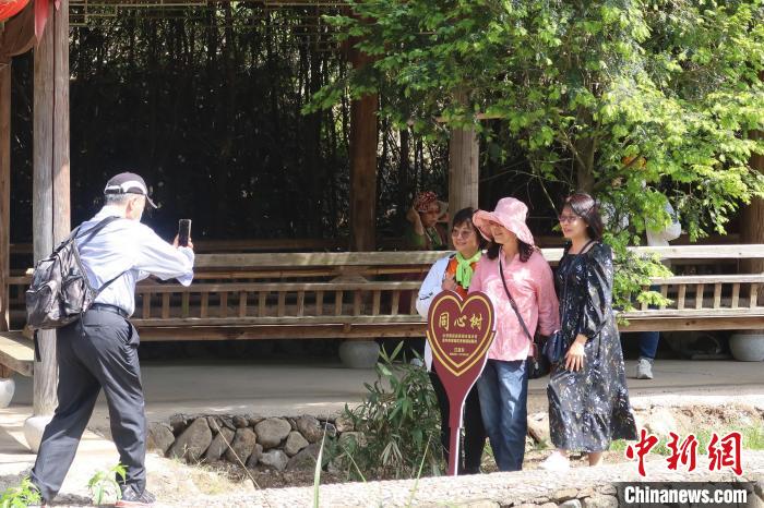 幾位臺(tái)胞在兩岸同心樹(shù)下合影，共植之樹(shù)今已亭亭如蓋?！《做?攝