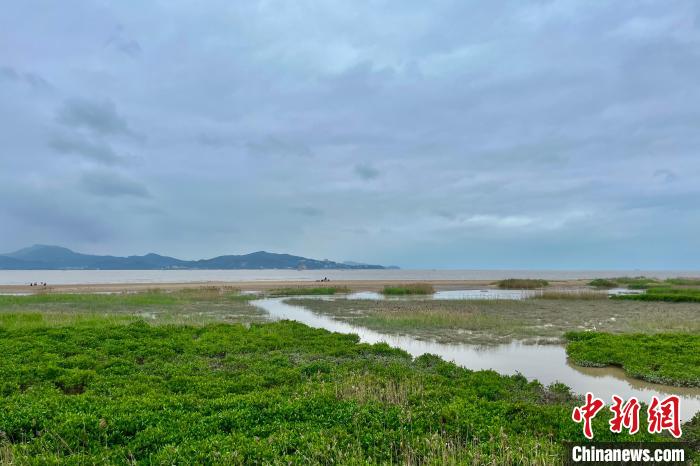 福建閩江河口濕地自然保護區(qū)一景 汪俐辰 攝