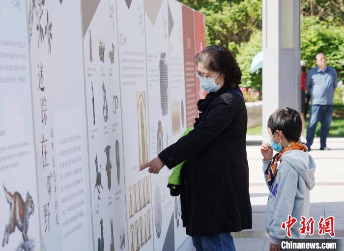 圖為市民參觀“大展宏兔——癸卯(兔年)生肖文物圖片聯(lián)展”?！●R銘言 攝