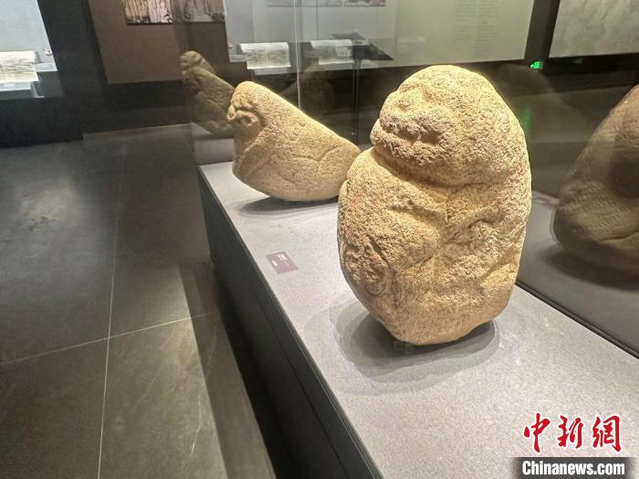 圖為館藏文物吐蕃石獅子。日喀則博物館供圖