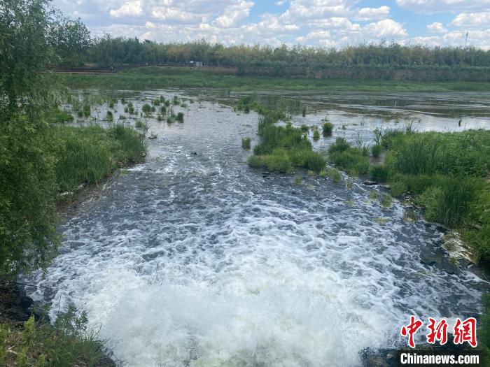 2日，經(jīng)四平市污水處理廠的尾水正在排入西湖濕地?！∽T偉旗 攝