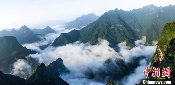 后河國(guó)家級(jí)自然保護(hù)區(qū)地處湖北武陵山區(qū)(資料圖) 后河保護(hù)區(qū)管理局 供圖