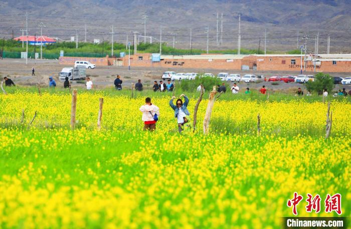 游客在油菜花海中拍照?！⊥锌诉d縣委宣傳部供圖