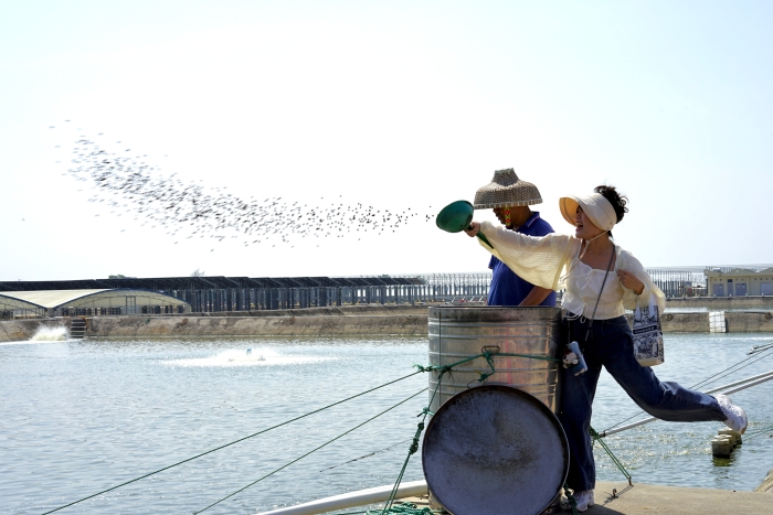 兩岸媒體人喂魚(yú)6