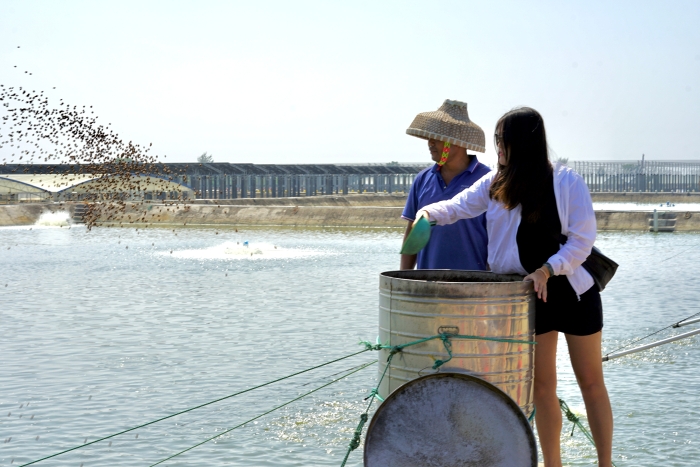 兩岸媒體人喂魚(yú)