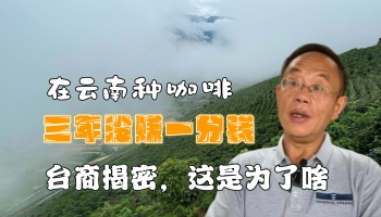 【滇西行】在云南種咖啡三年未賺一分錢？！臺(tái)商揭密個(gè)中原因