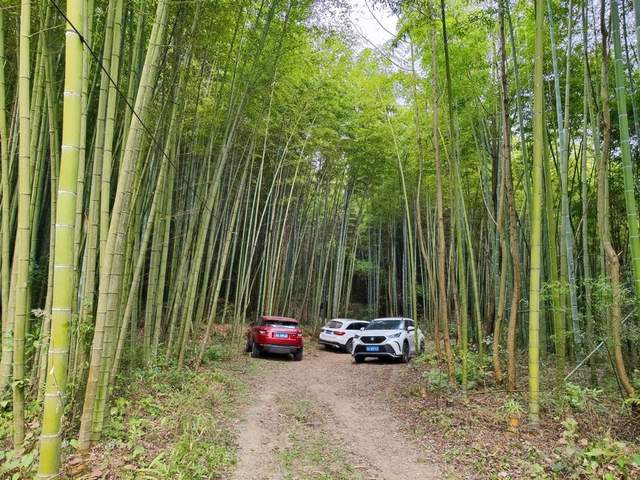 “金鐘玉鼓”鳴西蜀，彭州老君山文化傳承人王志強致力打造文旅目的地(圖5)