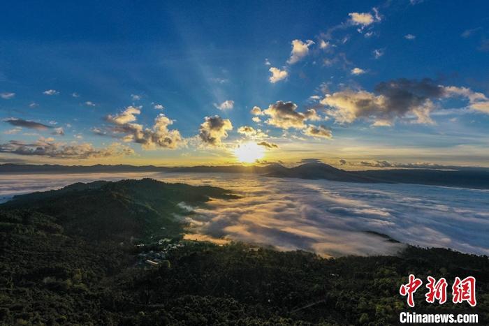 景邁山云海。 邵鴻雁攝