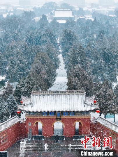 河南：漫天飛雪太昊陵美如畫(huà)