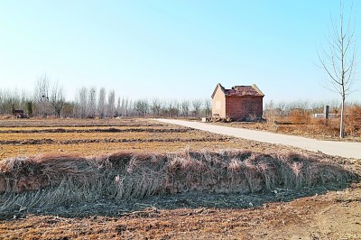 永濟渠衡水段發(fā)現(xiàn)古代運河型城市遺址 唐宋武城具有重要貿(mào)易和軍事意義