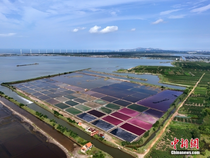 8月7日，山東省榮成市港西鎮(zhèn)朝陽港的一處鹽田在藍天白云的映襯下呈現(xiàn)出色彩斑斕、絢麗多彩的獨特景觀，成為海邊的一道靚麗風景。