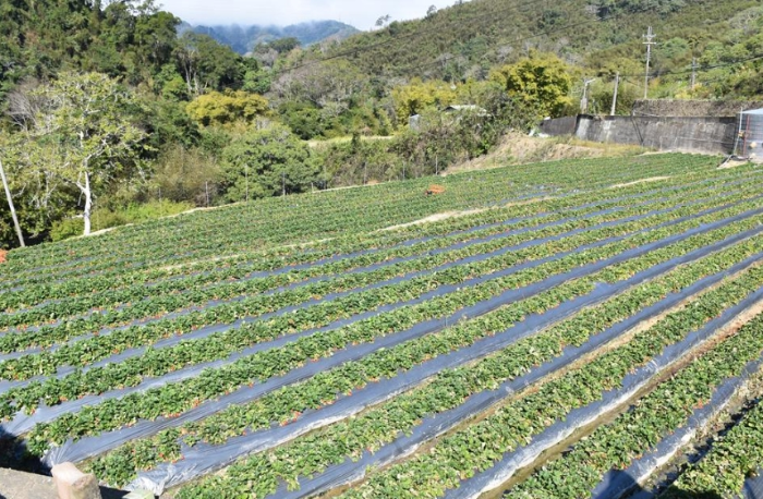 苗栗縣大湖鄉(xiāng)南湖溪流域遭二河分署畫定為河川區(qū)